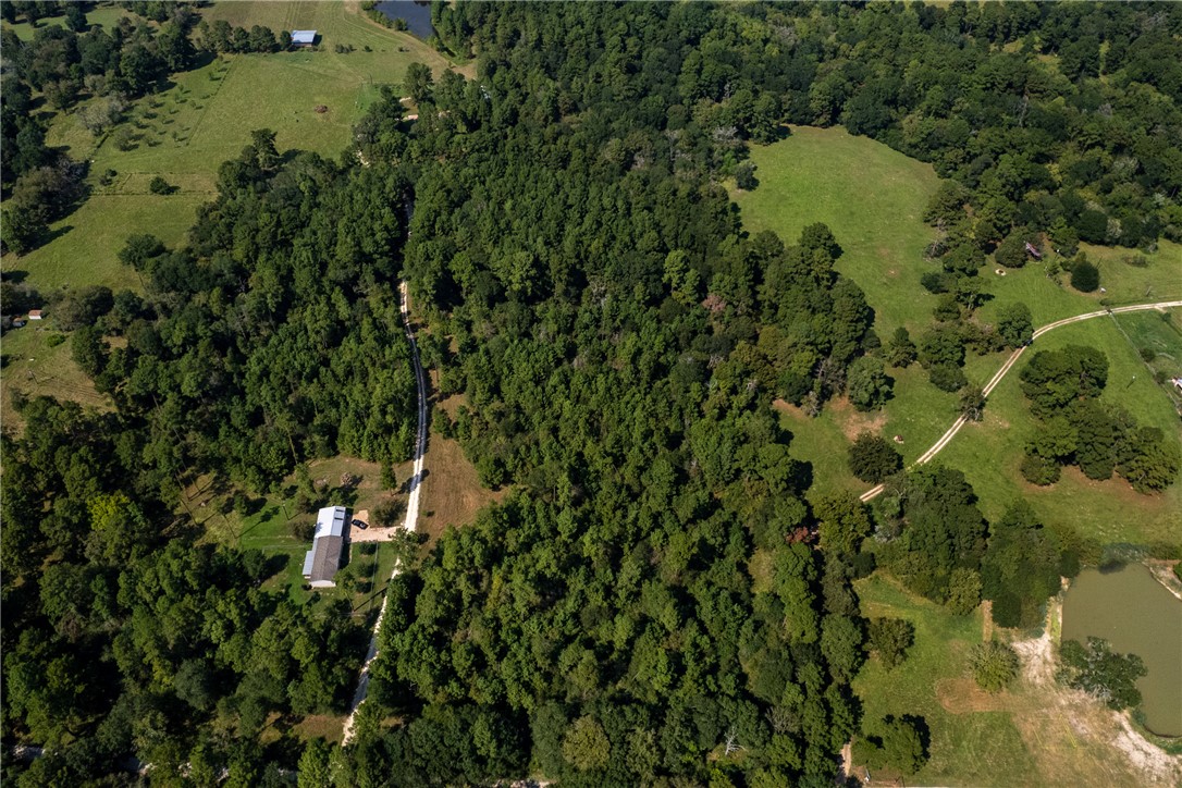 10.25 Acres CR 209 , Plantersville, TX, 77363 | 25002974 | Realty Texas LLC