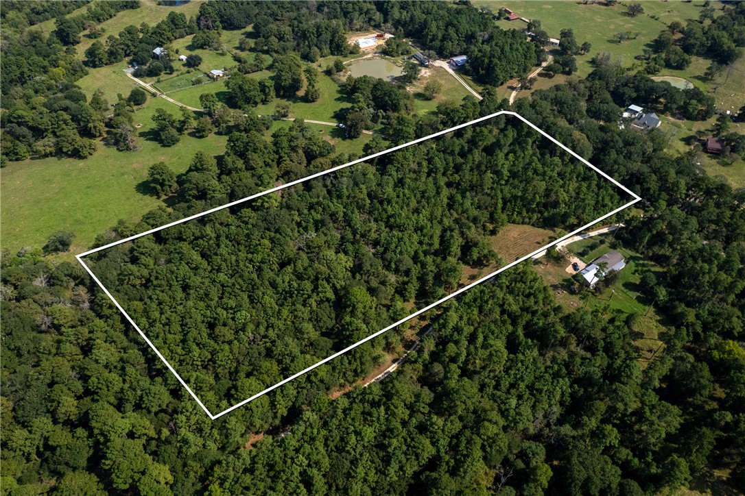 10.25 Acres CR 209 , Plantersville, TX, 77363 | 25002974 | Realty Texas LLC