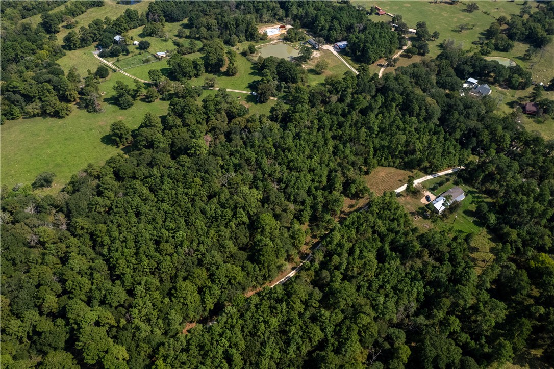 10.25 Acres CR 209 , Plantersville, TX, 77363 | 25002974 | Realty Texas LLC