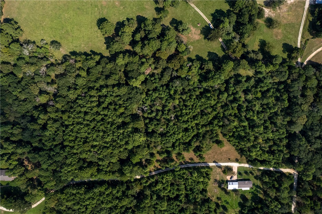 10.25 Acres CR 209 , Plantersville, TX, 77363 | 25002974 | Realty Texas LLC
