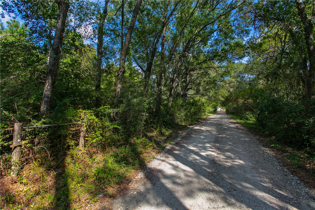 10.25 Acres CR 209 , Plantersville, TX, 77363 | 25002974 | Realty Texas LLC
