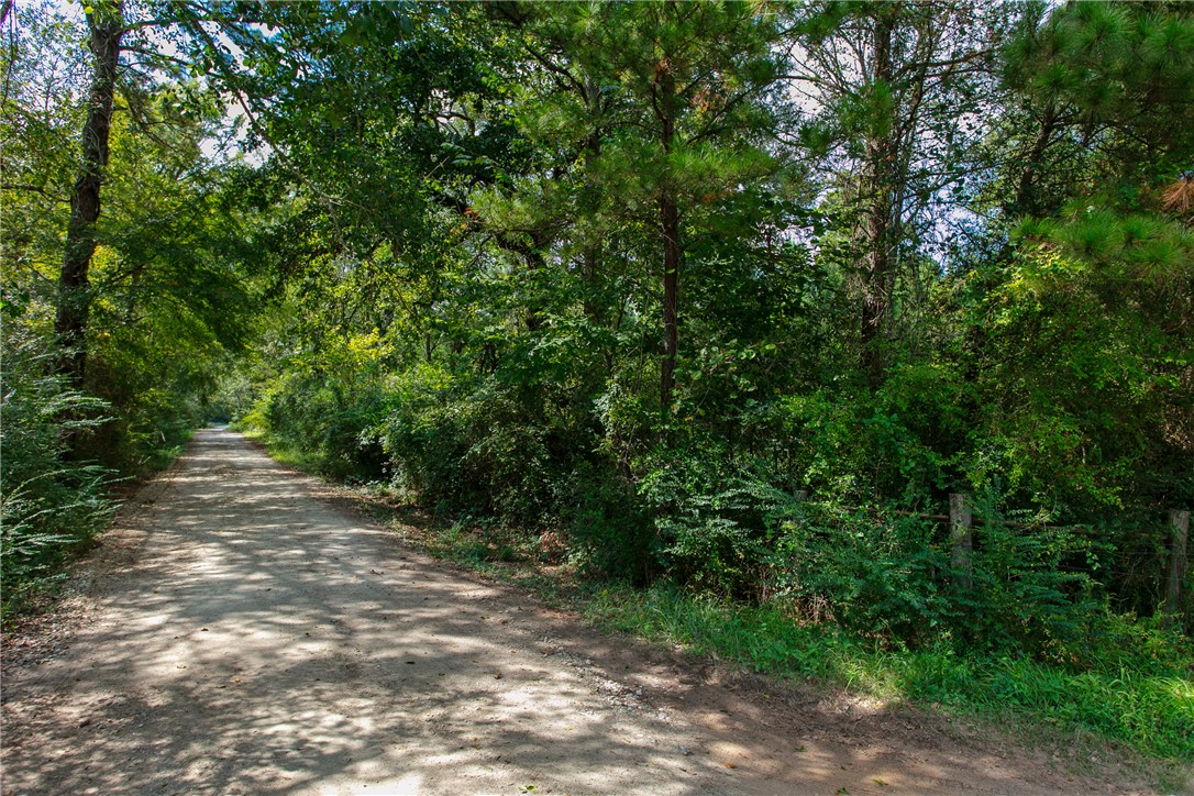 10.25 Acres CR 209 , Plantersville, TX, 77363 | 25002974 | Realty Texas LLC