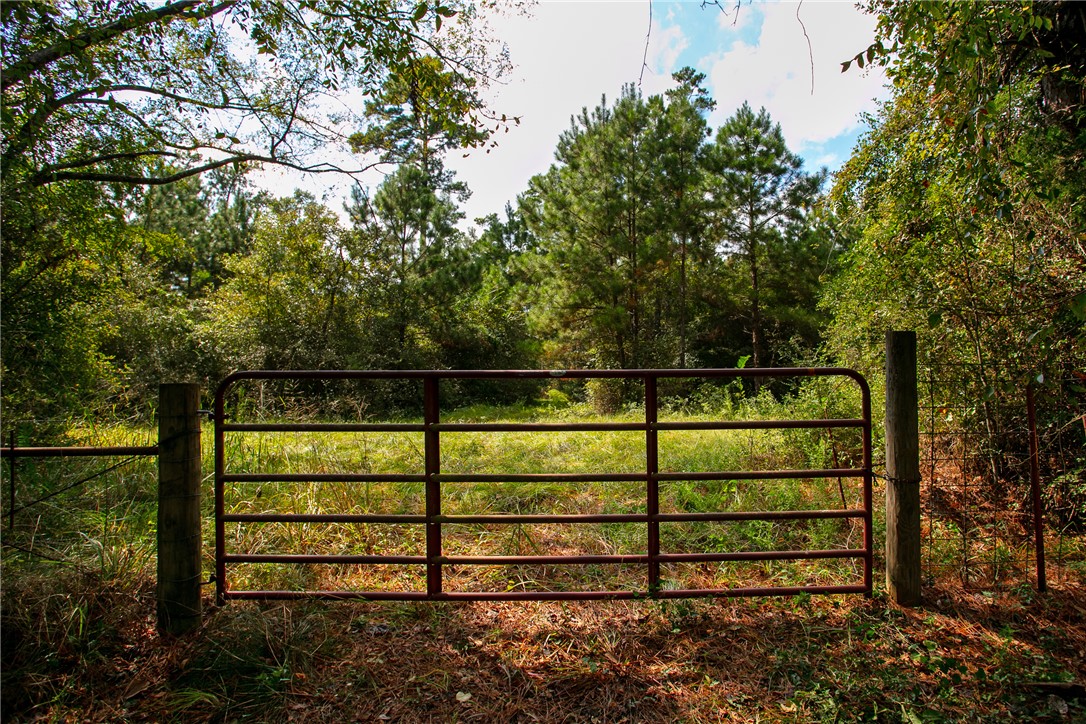 10.25 Acres CR 209 , Plantersville, TX, 77363 | 25002974 | Realty Texas LLC