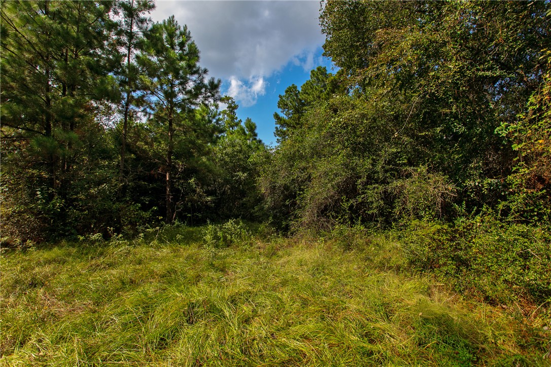 10.25 Acres CR 209 , Plantersville, TX, 77363 | 25002974 | Realty Texas LLC