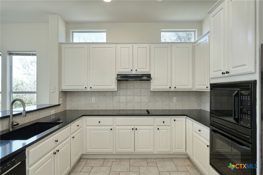 113 Yaupon Lane , Georgetown, TX, 78633 | 572293 | Realty Texas LLC
