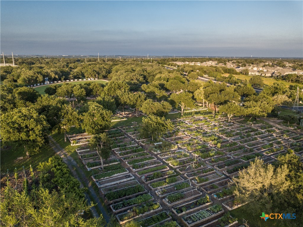 113 Yaupon Lane , Georgetown, TX, 78633 | 572293 | Realty Texas LLC