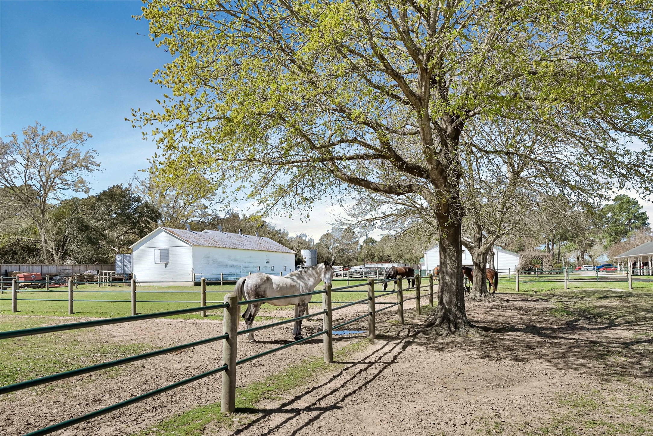 9103 Night Beacon Point Drive , Spring, TX, 77379 | 68666482 | Realty Texas LLC