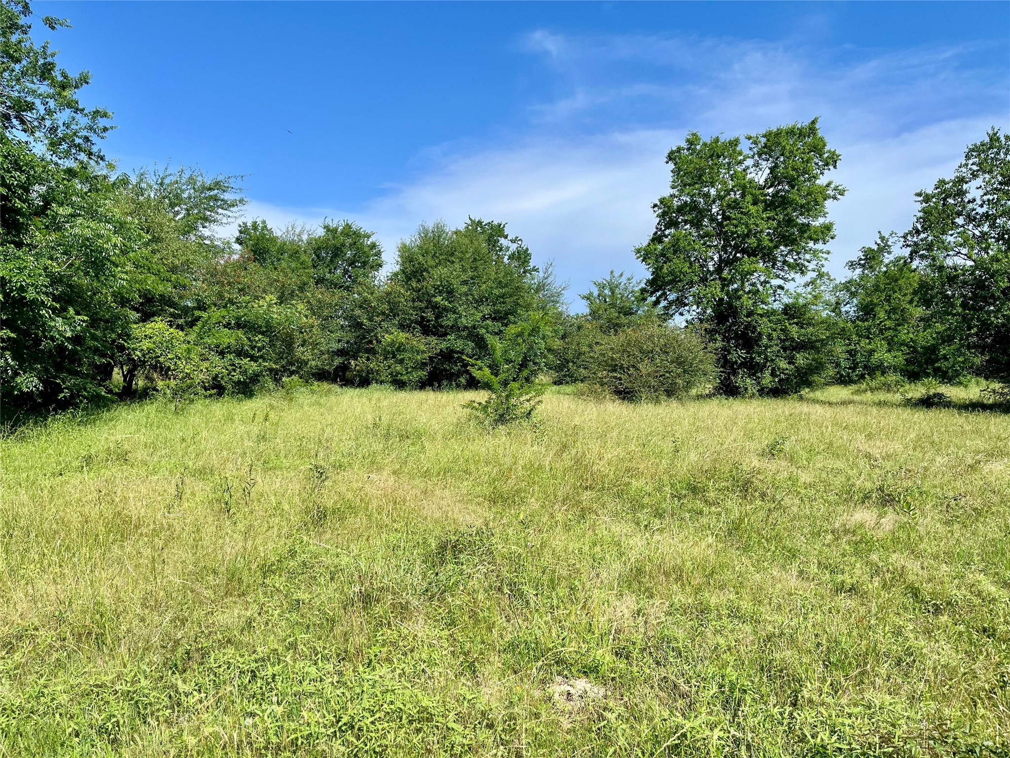 000 FM 71 , Talco, TX, 75487 | 20870516 | Realty Texas LLC