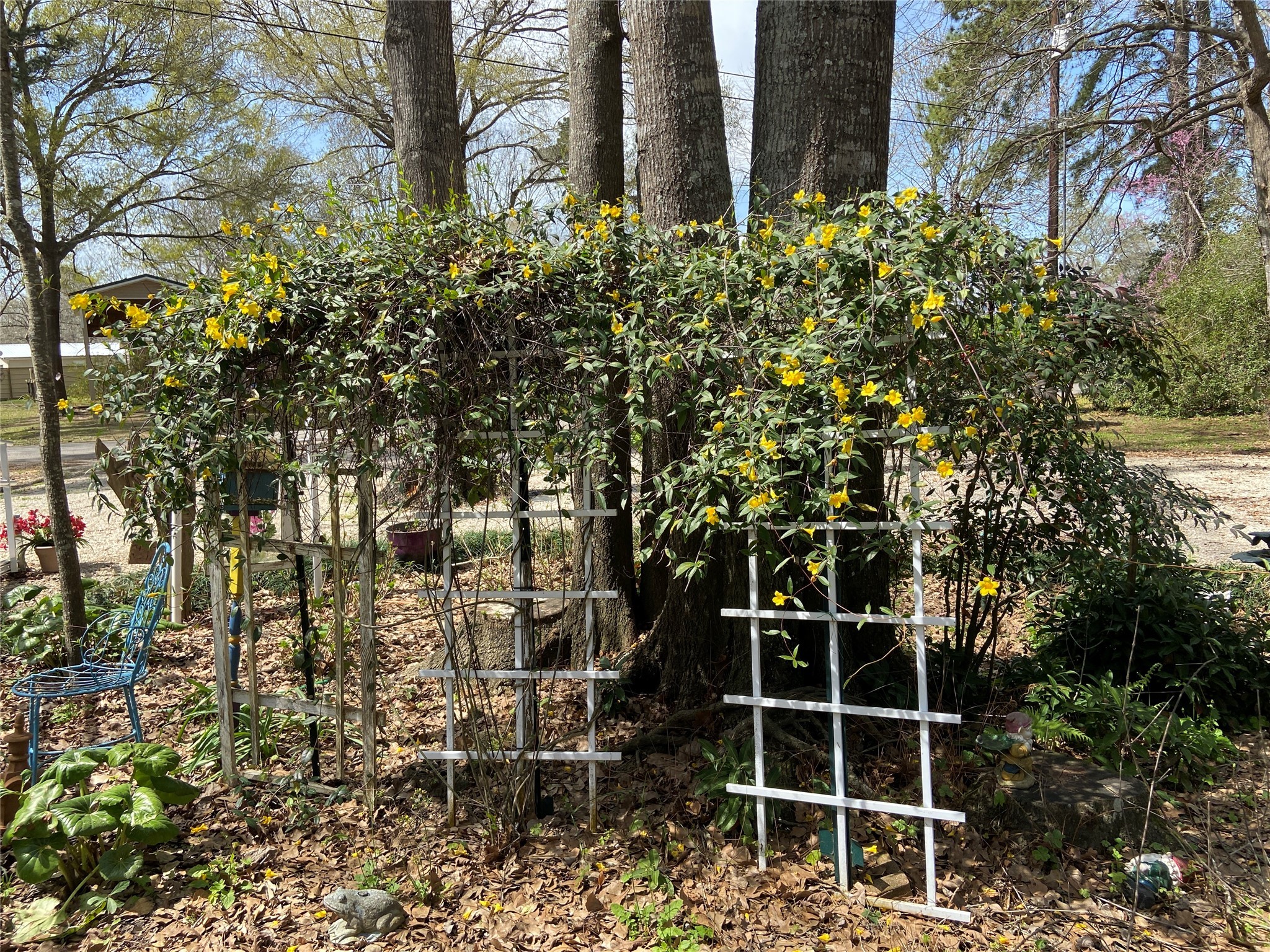 253 Escapees Drive , Livingston, TX, 77351 | 47301586 | Realty Texas LLC