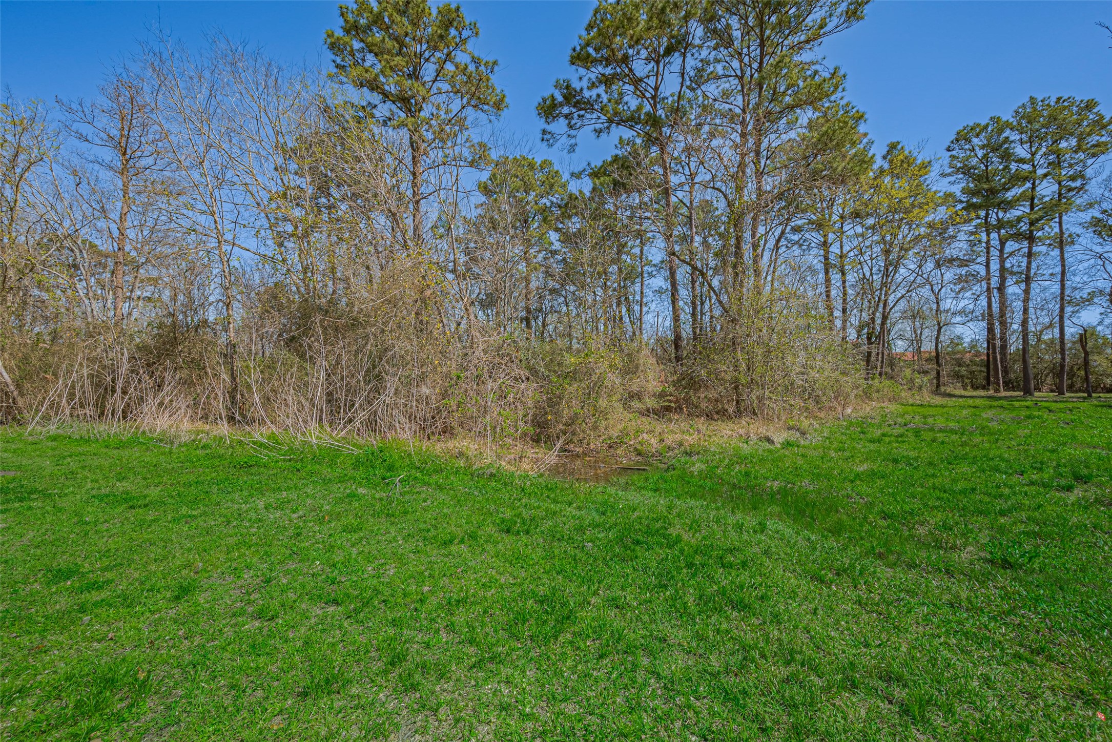 00 Stag Circle , Huffman, TX, 77336 | 92055563 | Realty Texas LLC