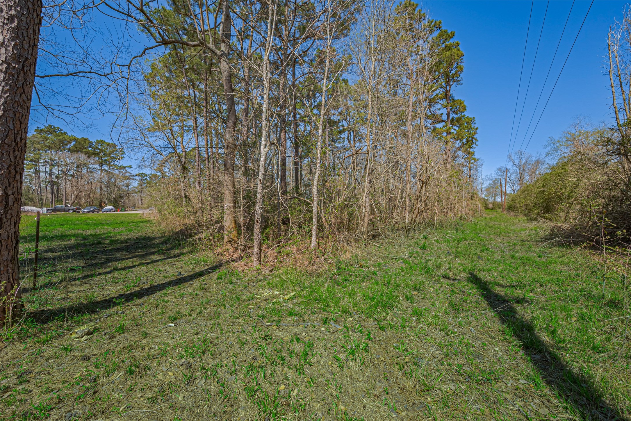 00 Stag Circle , Huffman, TX, 77336 | 92055563 | Realty Texas LLC