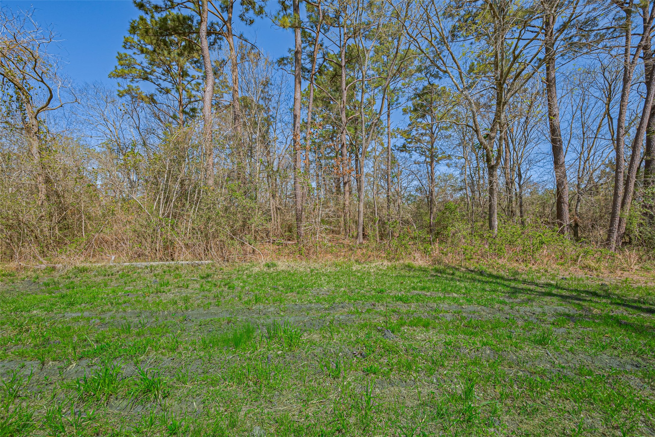 00 Stag Circle , Huffman, TX, 77336 | 92055563 | Realty Texas LLC