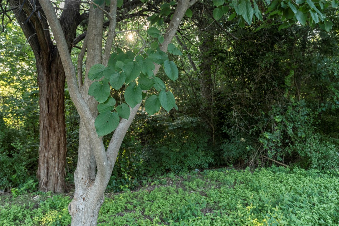 2906 Maple Hill Circle , Waco, TX, 76708 | 223128 | Realty Texas LLC
