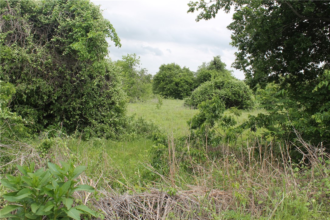 TBD N Lacy Drive , Waco, TX, 76705 | 214982 | Realty Texas LLC