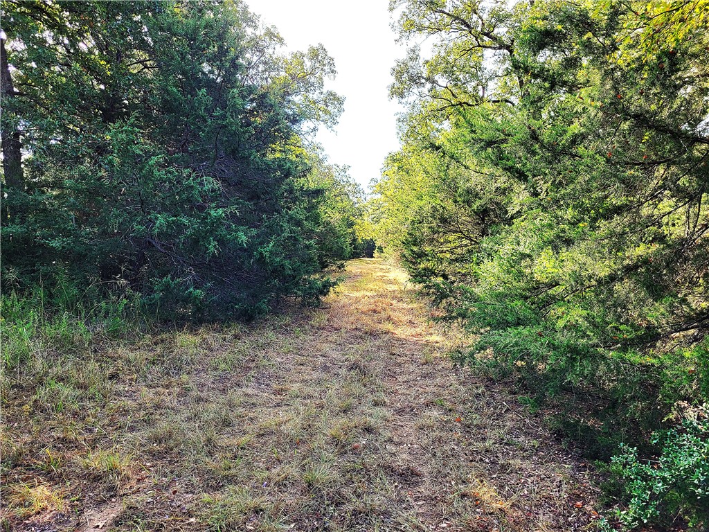 151 Acres LCR 758 , Thornton, TX, 76687 | 225731 | Realty Texas LLC