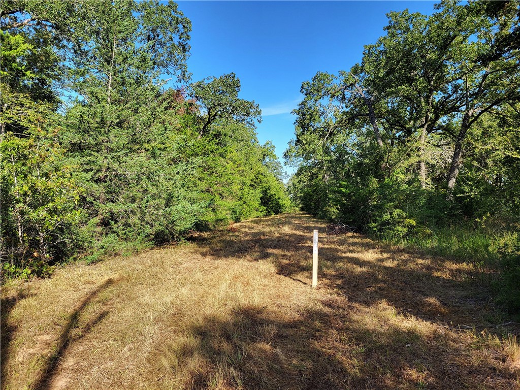 151 Acres LCR 758 , Thornton, TX, 76687 | 225731 | Realty Texas LLC