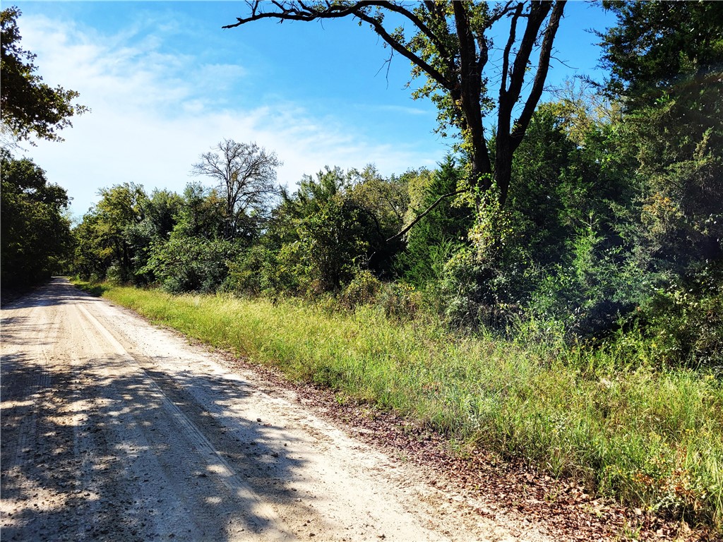151 Acres LCR 758 , Thornton, TX, 76687 | 225731 | Realty Texas LLC