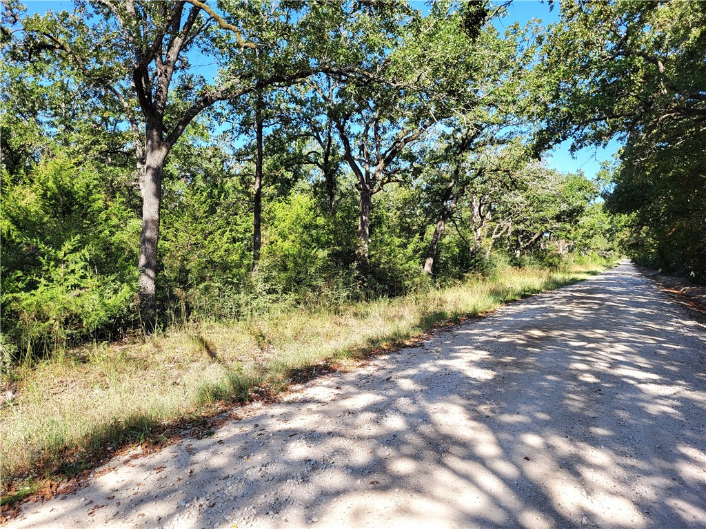 151 Acres LCR 758 , Thornton, TX, 76687 | 225731 | Realty Texas LLC