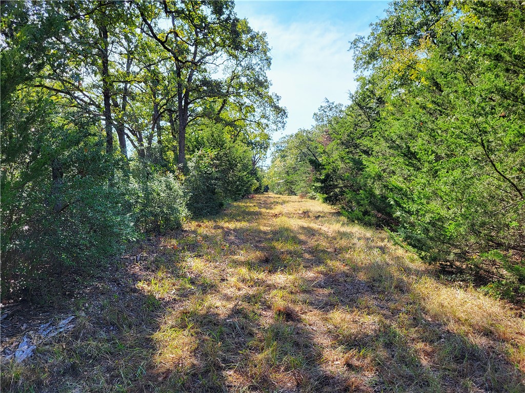 151 Acres LCR 758 , Thornton, TX, 76687 | 225731 | Realty Texas LLC