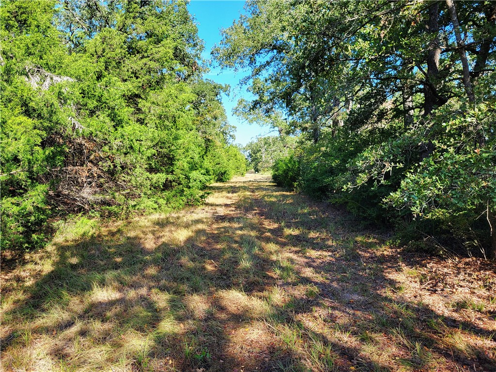 151 Acres LCR 758 , Thornton, TX, 76687 | 225731 | Realty Texas LLC