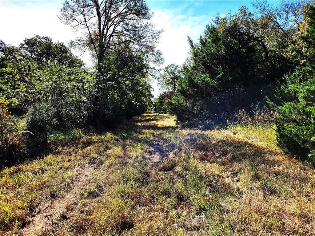 151 Acres LCR 758 , Thornton, TX, 76687 | 225731 | Realty Texas LLC