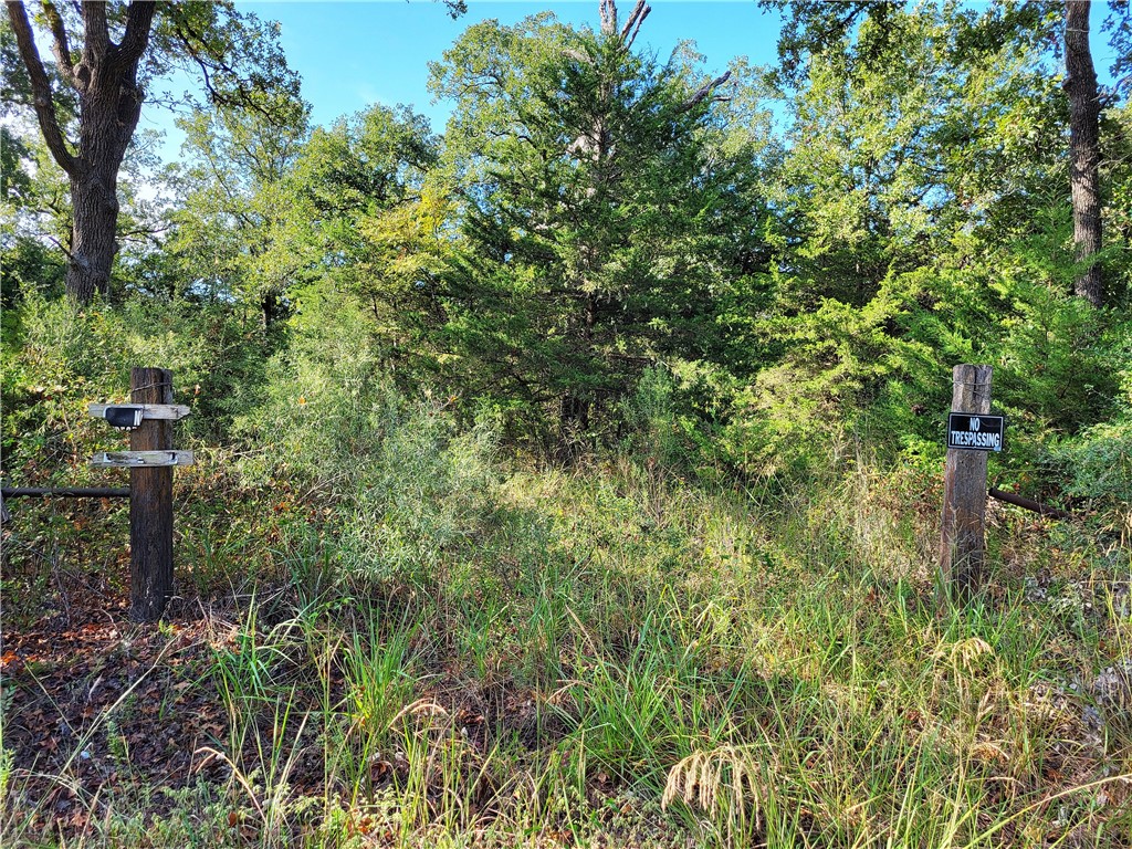 151 Acres LCR 758 , Thornton, TX, 76687 | 225731 | Realty Texas LLC