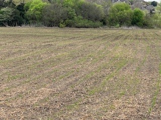 TBD N I35 Highway, Waco, TX, 76706 | 192776 | Realty Texas LLC