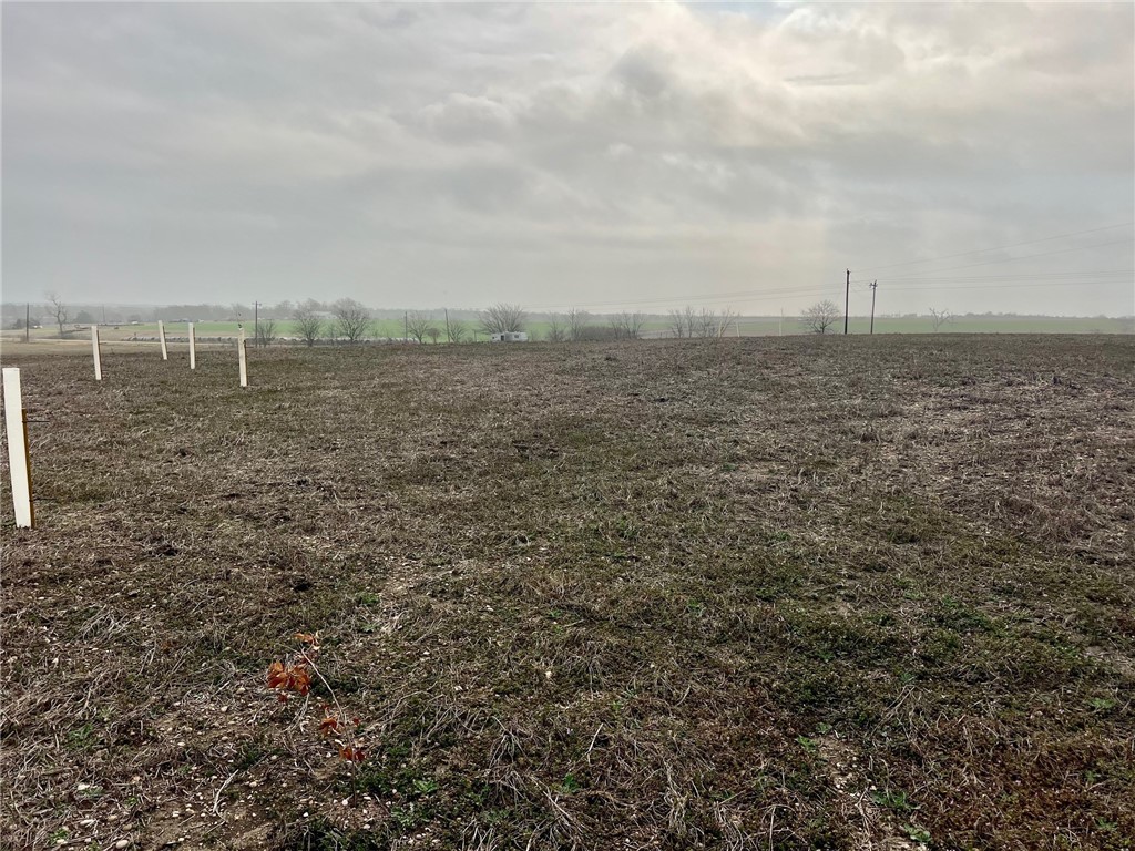769 FM 1240 Highway , Riesel, TX, 76682 | 228085 | Realty Texas LLC