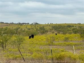 TBD Fm 2164 , Sanger, TX, 76266 | 20874531 | Realty Texas LLC