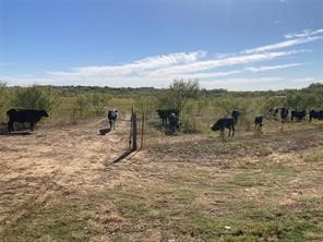 TBD Fm 2164 , Sanger, TX, 76266 | 20874531 | Realty Texas LLC