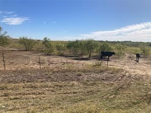 TBD Fm 2164 , Sanger, TX, 76266 | 20874531 | Realty Texas LLC