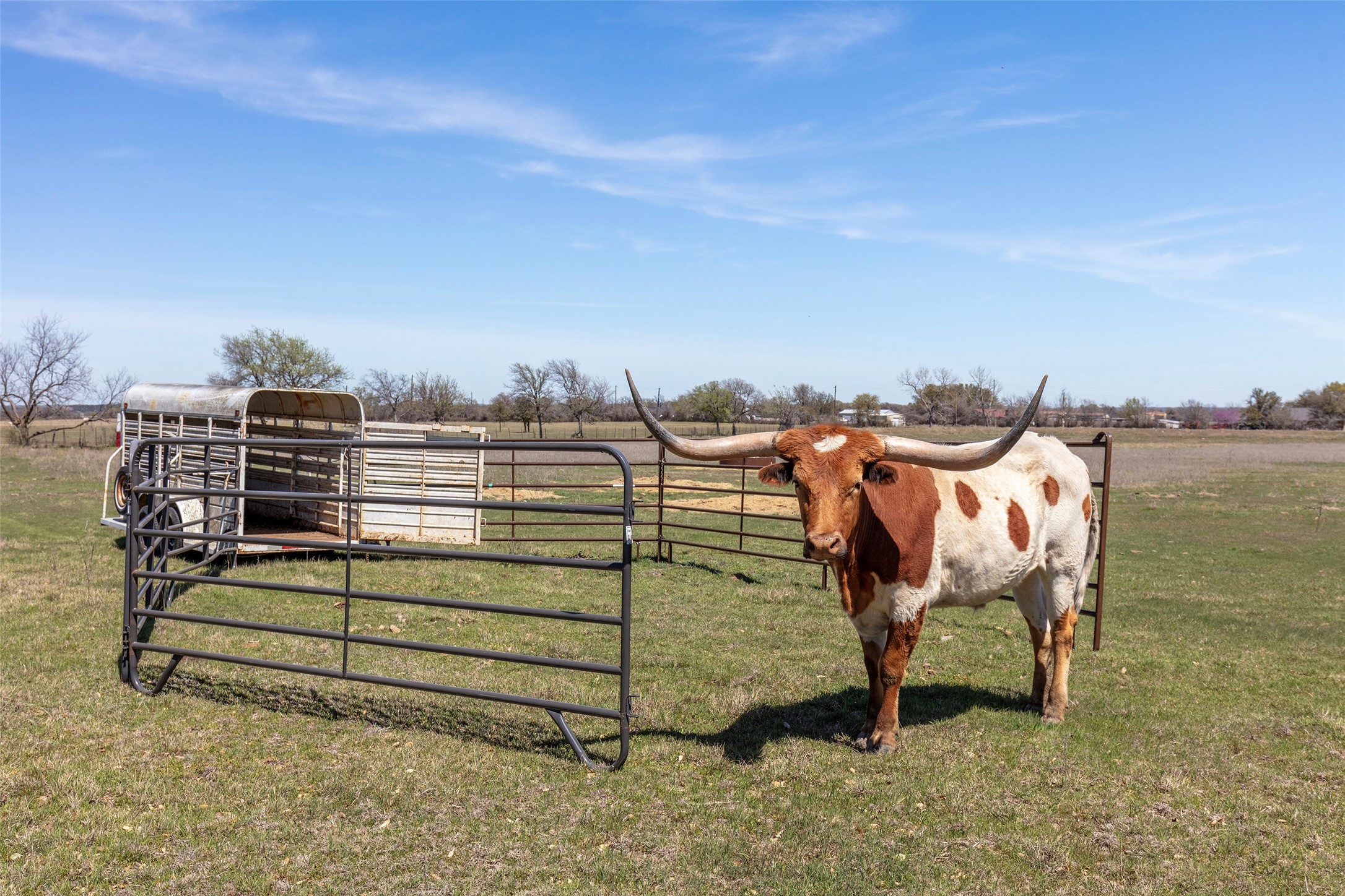 401 Ballew Springs Road , Weatherford, TX, 76088 | 20875672 | Realty Texas LLC
