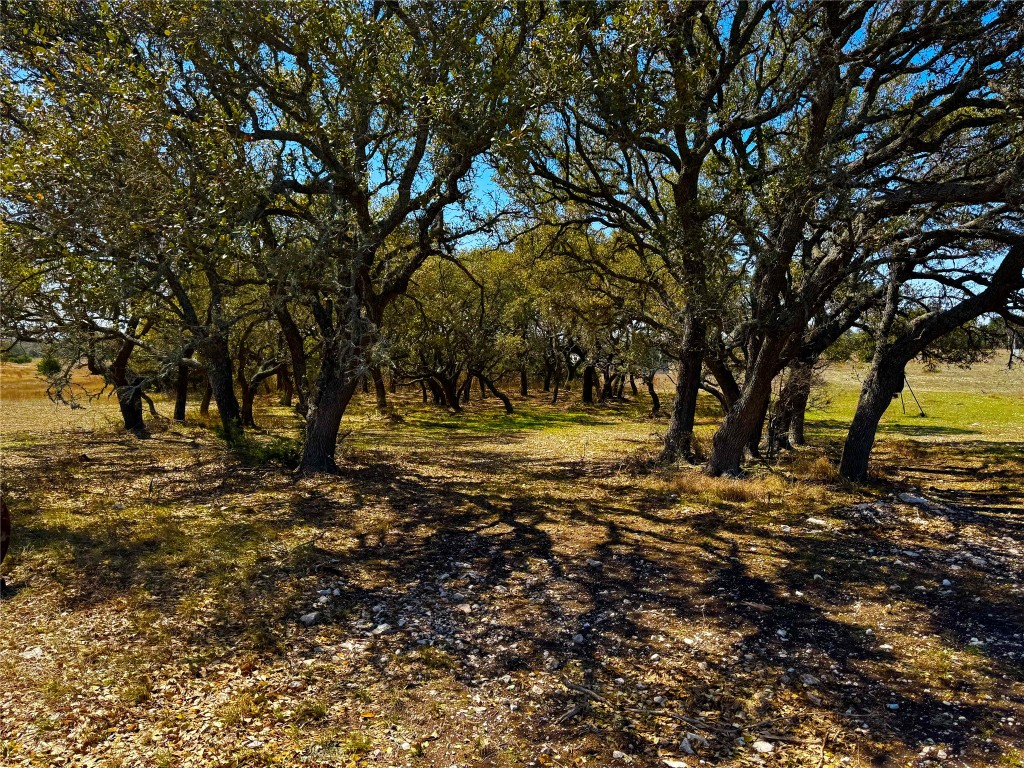 871 Blackbuck Ridge Drive , Lampasas, TX, 76550 | 4736089 | Realty Texas LLC