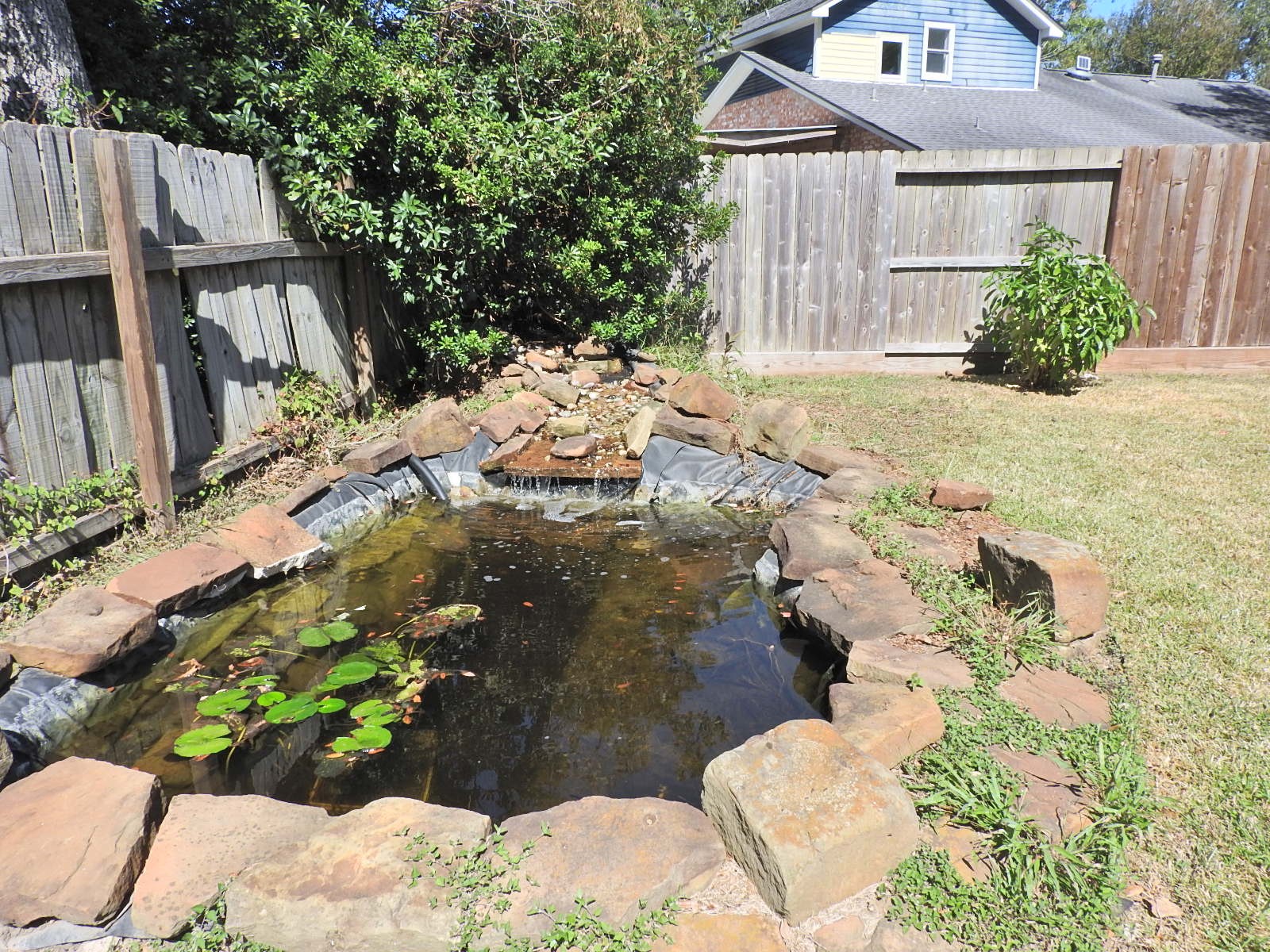 5303 Rockland Drive , Pearland, TX, 77584 | 29555662 | Realty Texas LLC