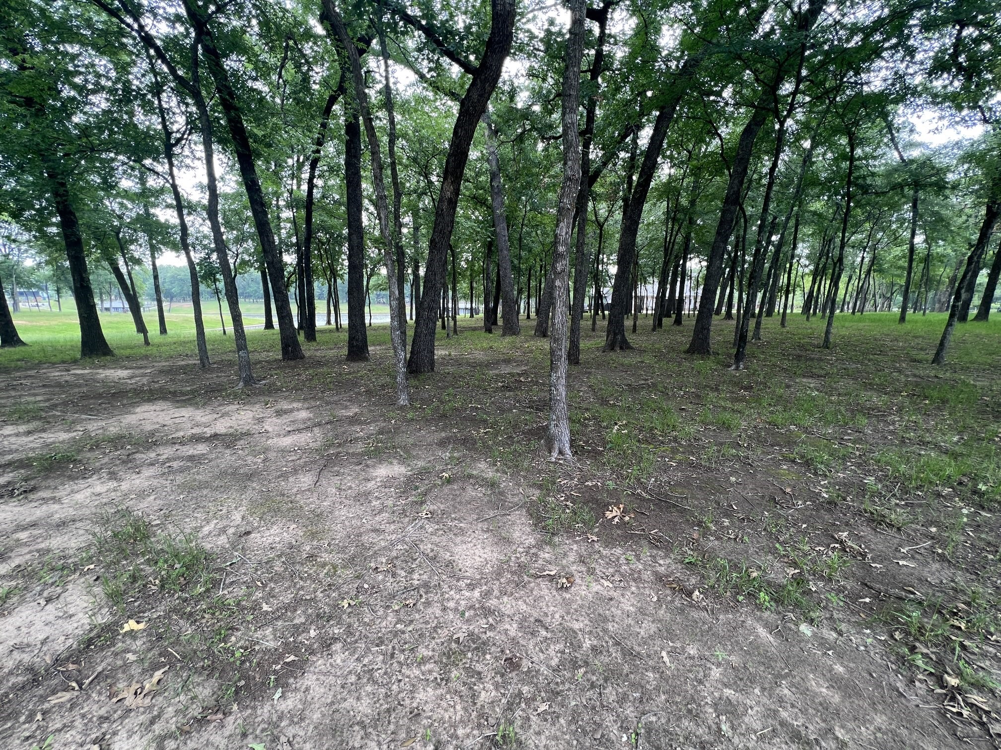 164 Saint Andrews Drive , Mabank, TX, 75156 | 20877665 | Realty Texas LLC