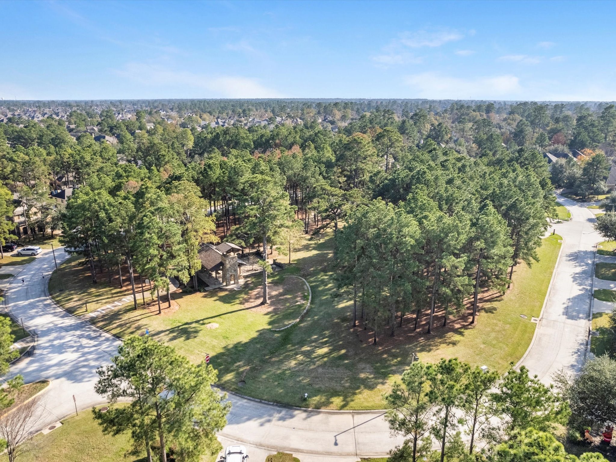 95 Sagamore Ridge Place , Spring, TX, 77389 | 74488881 | Realty Texas LLC