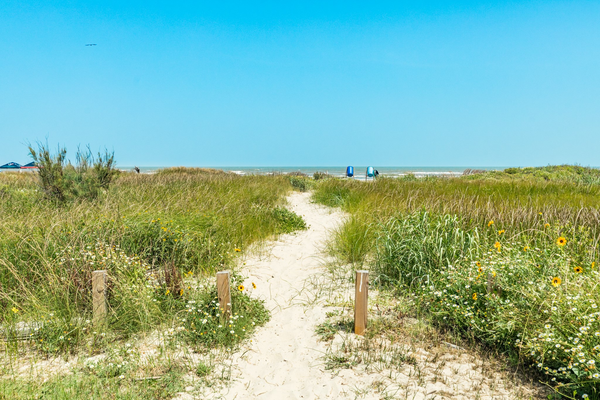 2426 Bluewater Hwy , Surfside Beach, TX, 77541 | 77642013 | Realty Texas LLC