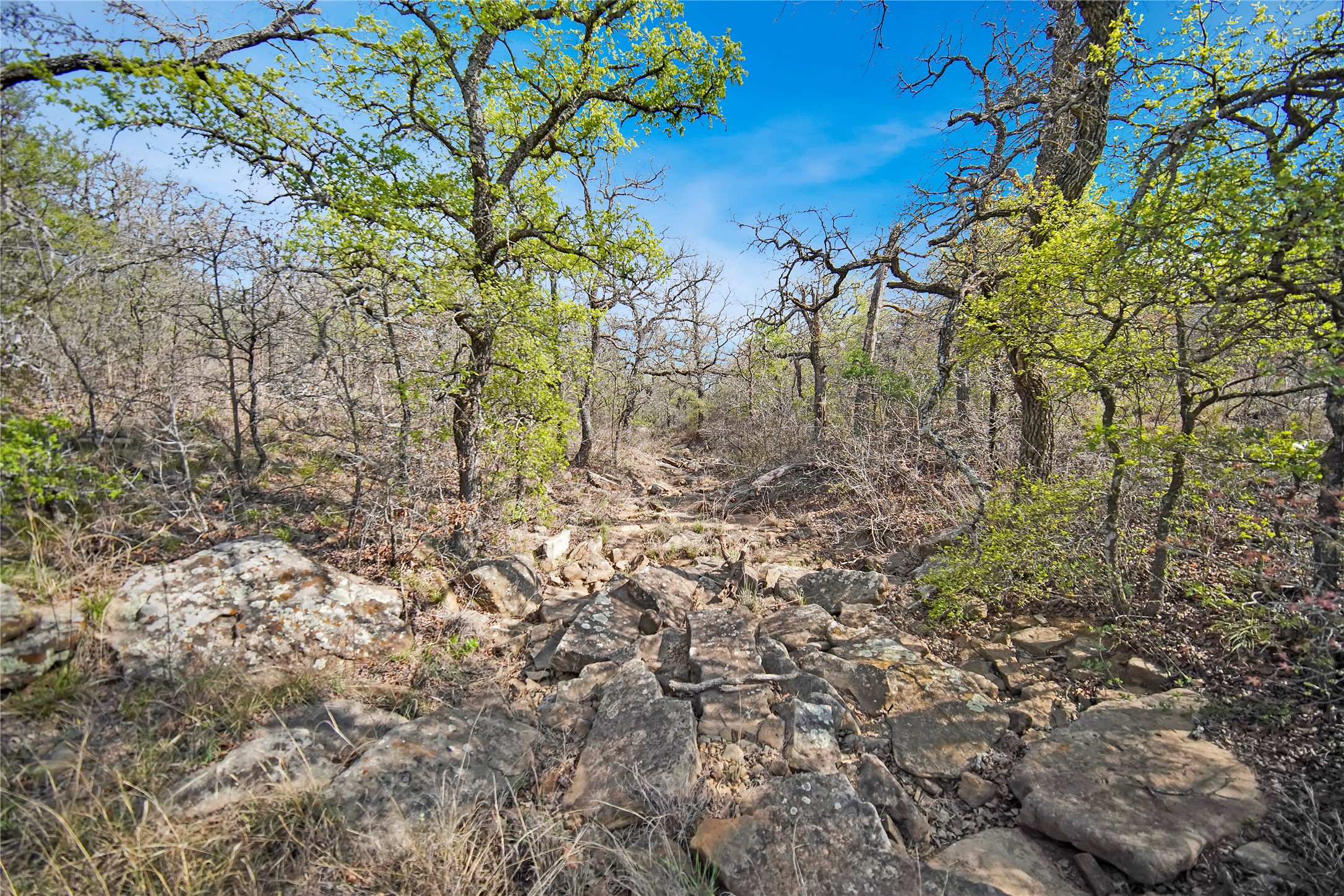 44 Acres Slusher Road, Jacksboro, TX, 76458 | 20884392 | Realty Texas LLC