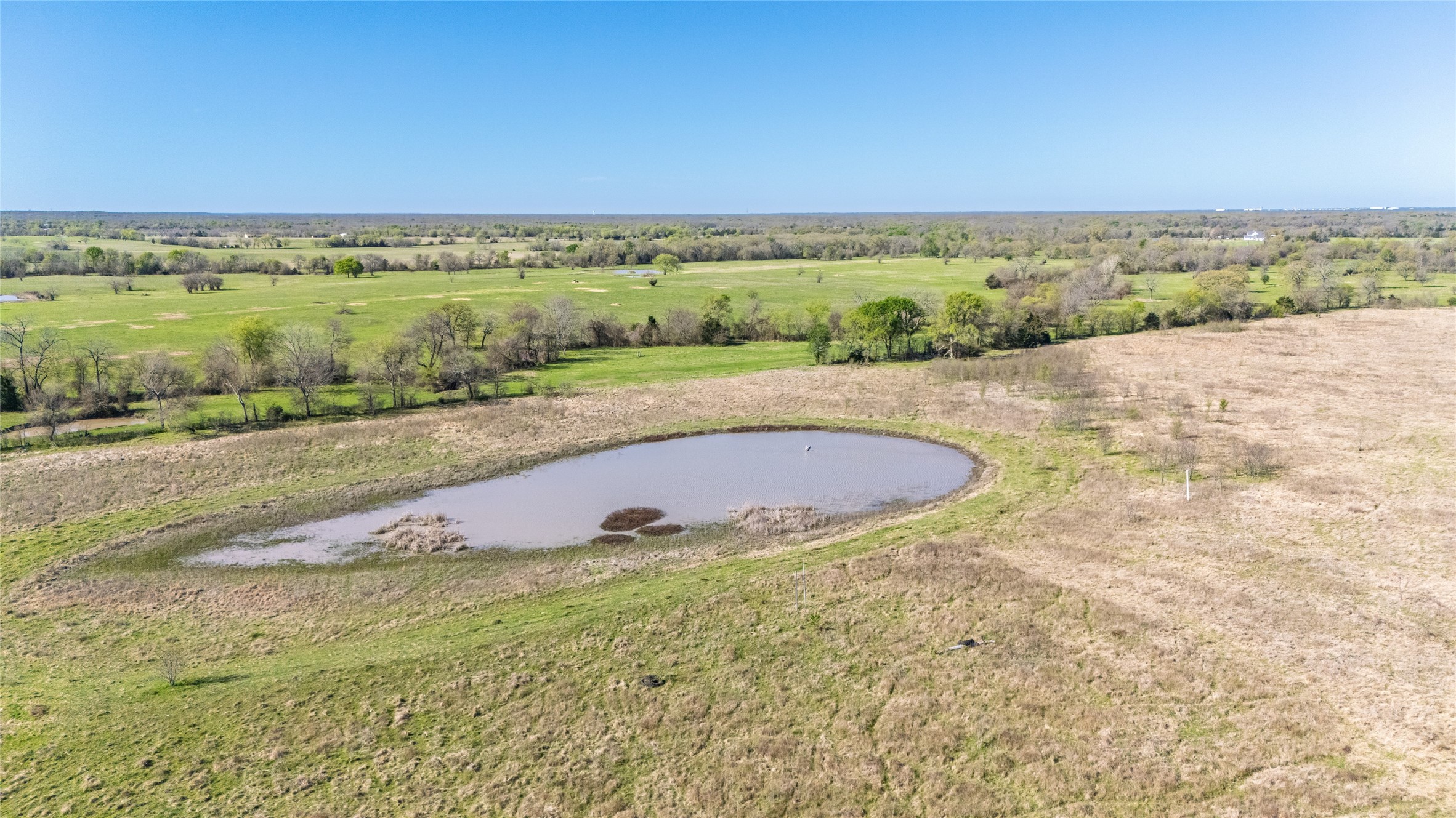 TBD County Road 3111 , Campbell, TX, 75422 | 20878381 | Realty Texas LLC