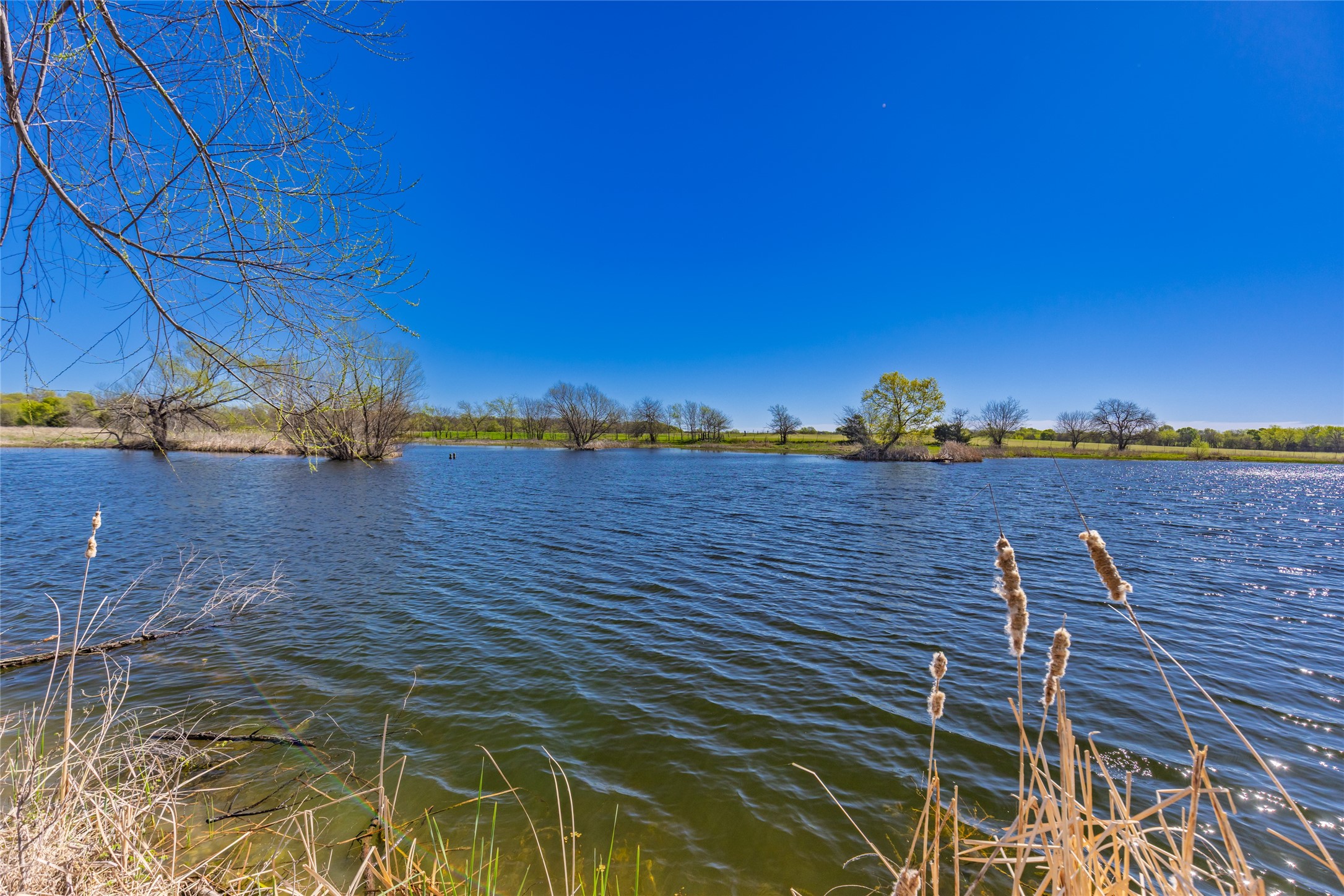 TBD County Road 3111 , Campbell, TX, 75422 | 20878381 | Realty Texas LLC