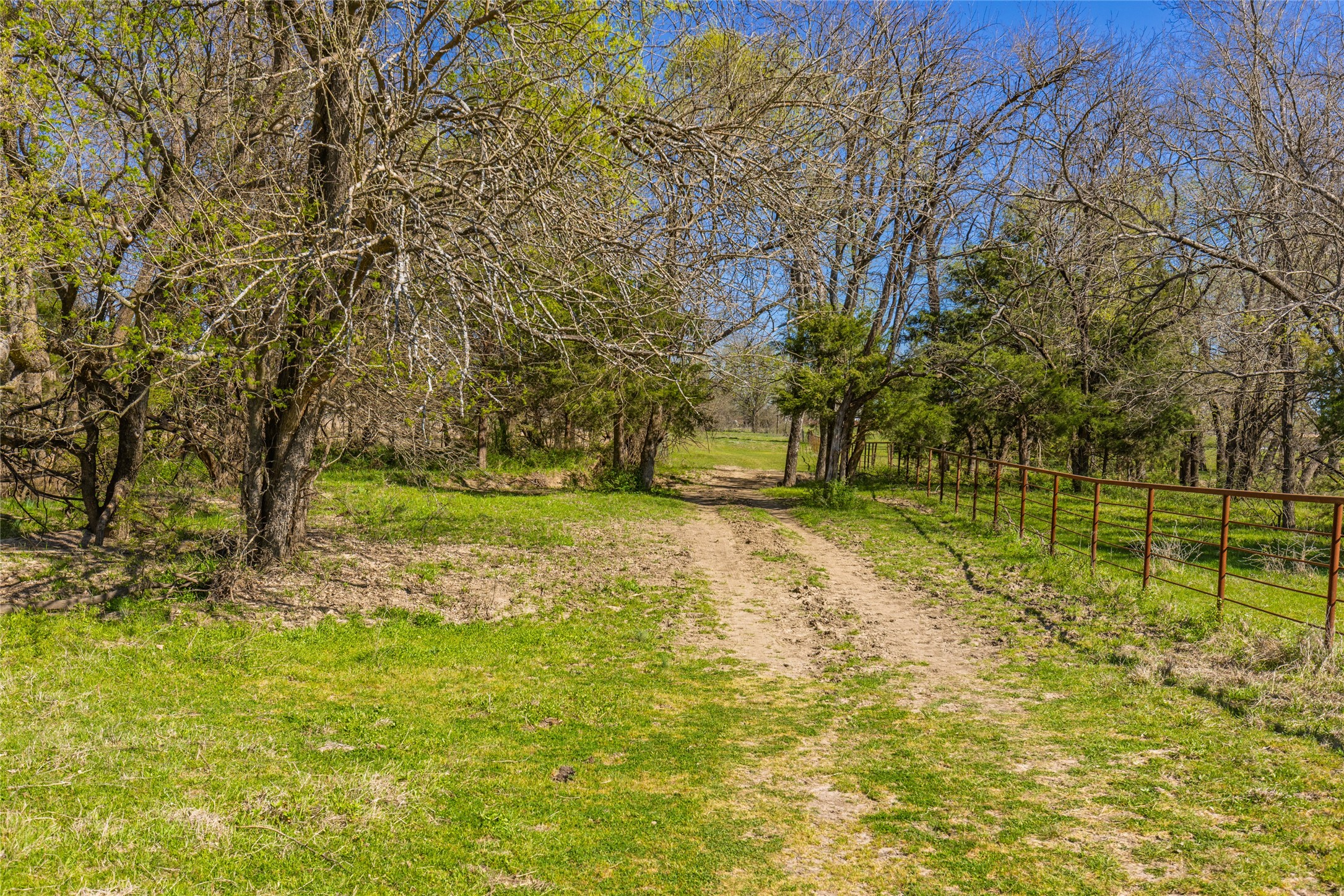 TBD County Road 3111 , Campbell, TX, 75422 | 20878381 | Realty Texas LLC