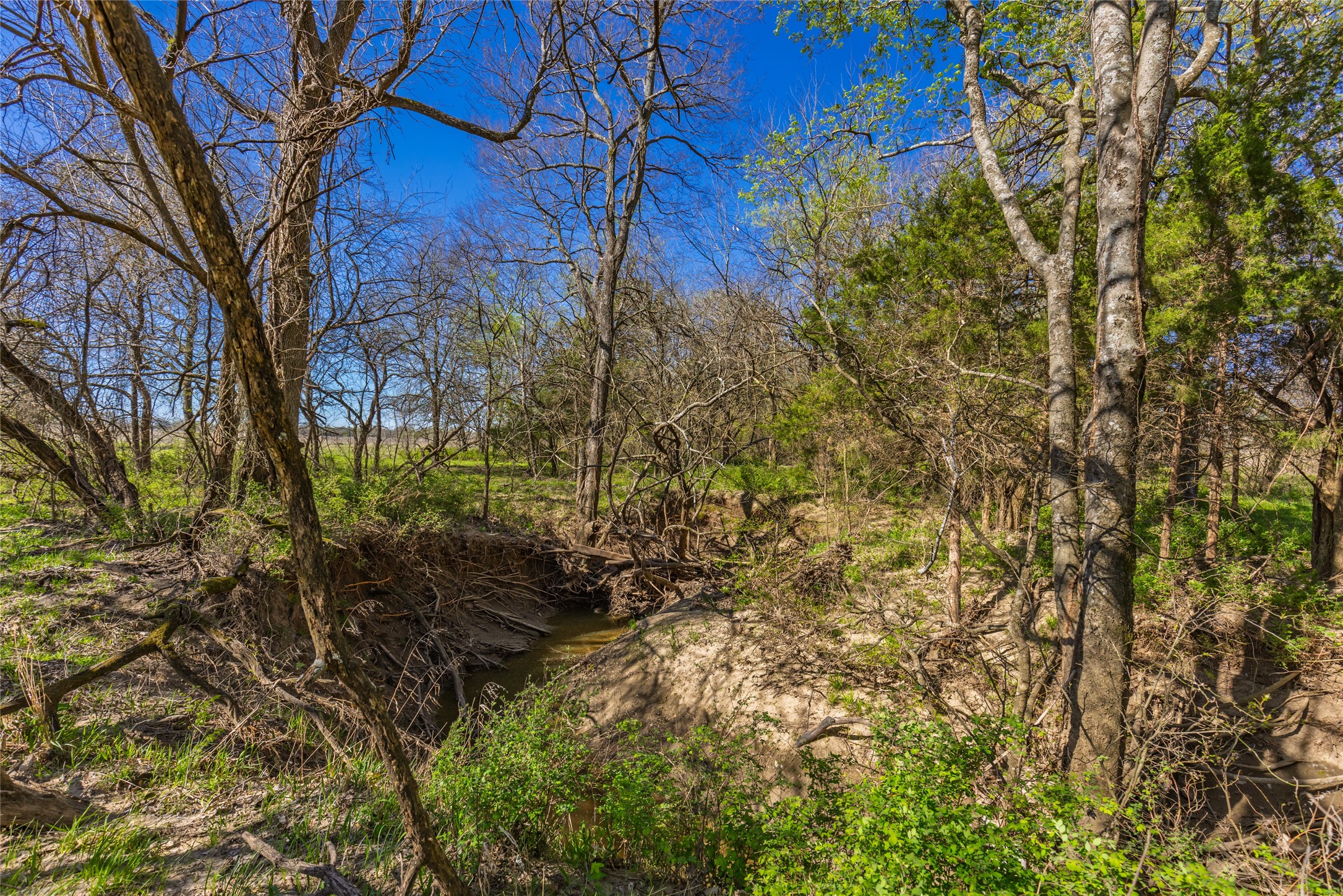 TBD County Road 3111 , Campbell, TX, 75422 | 20878381 | Realty Texas LLC