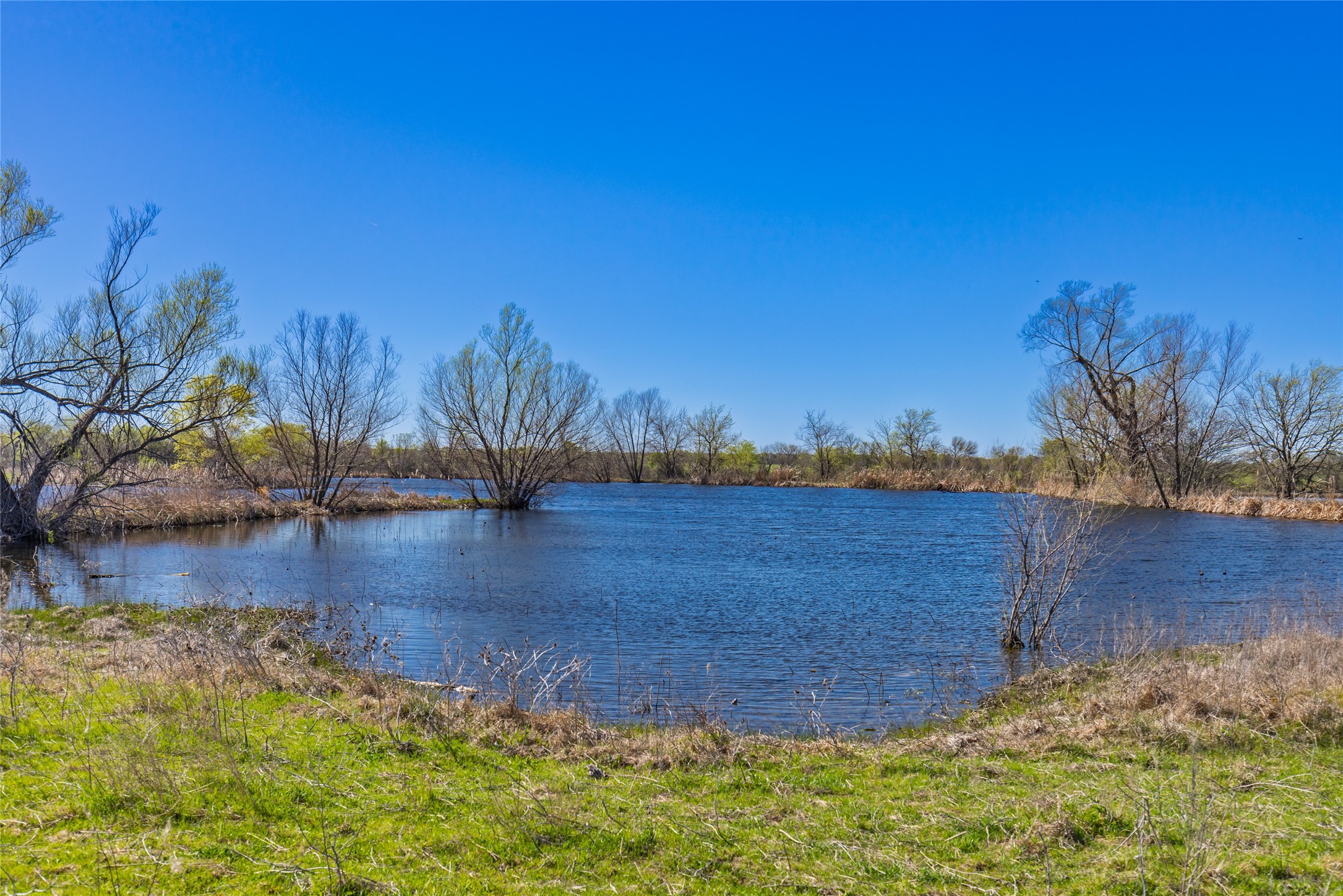 TBD County Road 3111 , Campbell, TX, 75422 | 20878381 | Realty Texas LLC
