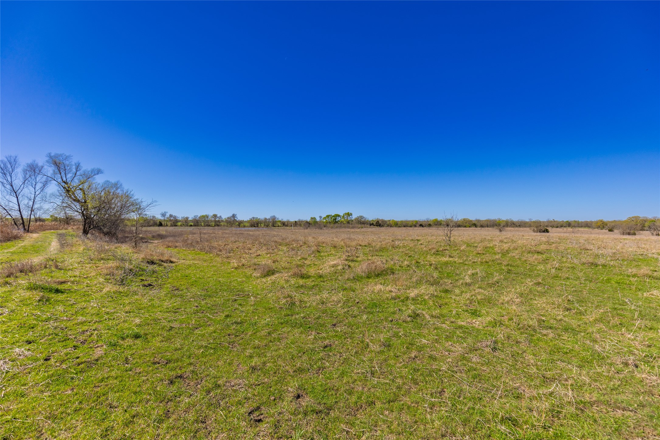 TBD County Road 3111 , Campbell, TX, 75422 | 20878381 | Realty Texas LLC