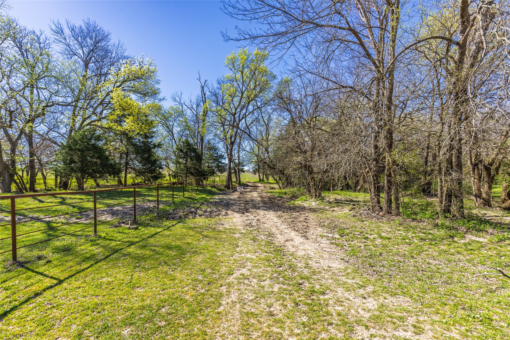 TBD County Road 3111 , Campbell, TX, 75422 | 20878381 | Realty Texas LLC