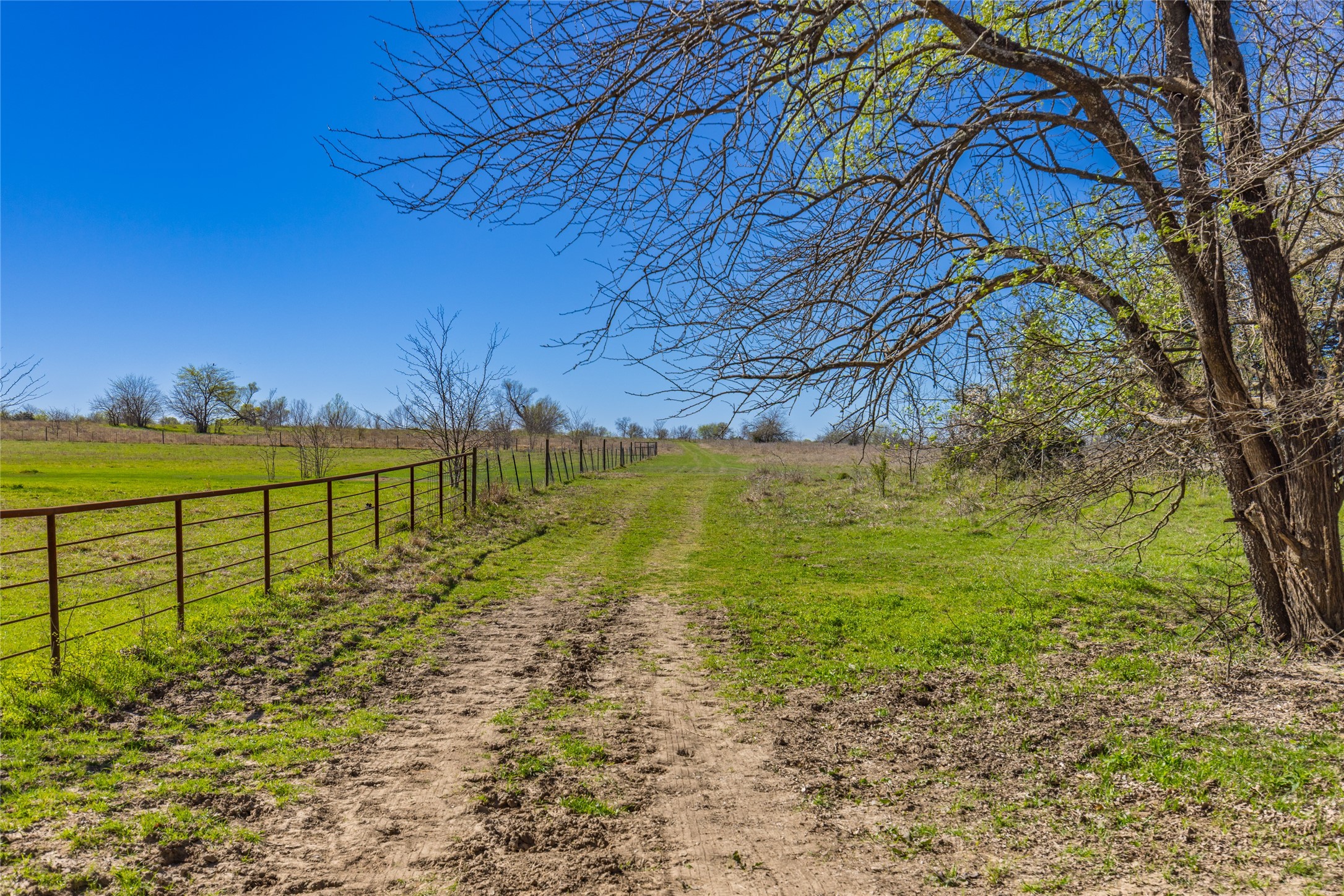 TBD County Road 3111 , Campbell, TX, 75422 | 20878381 | Realty Texas LLC