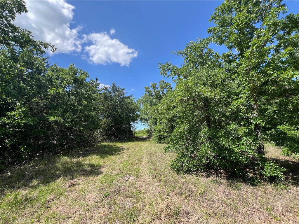 Lot #1 CR 218 , Anderson, TX, 77830 | 25003878 | Realty Texas LLC