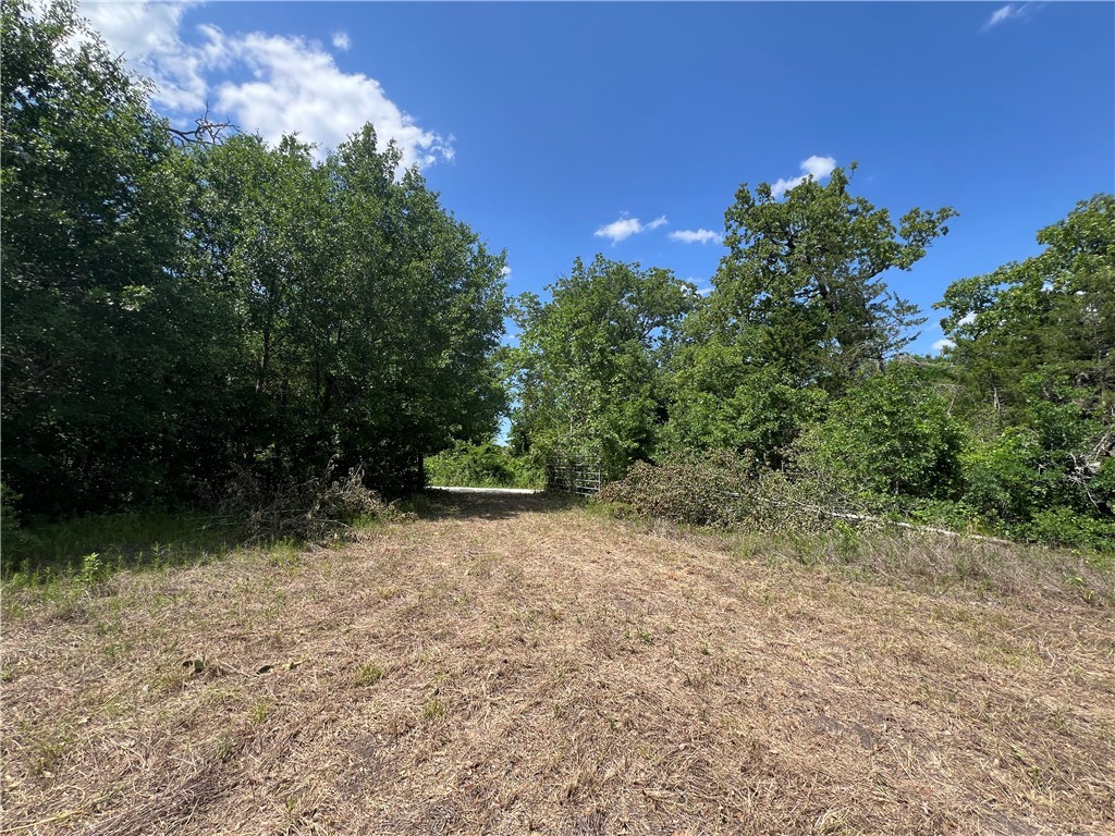 Lot #1 CR 218 , Anderson, TX, 77830 | 25003878 | Realty Texas LLC