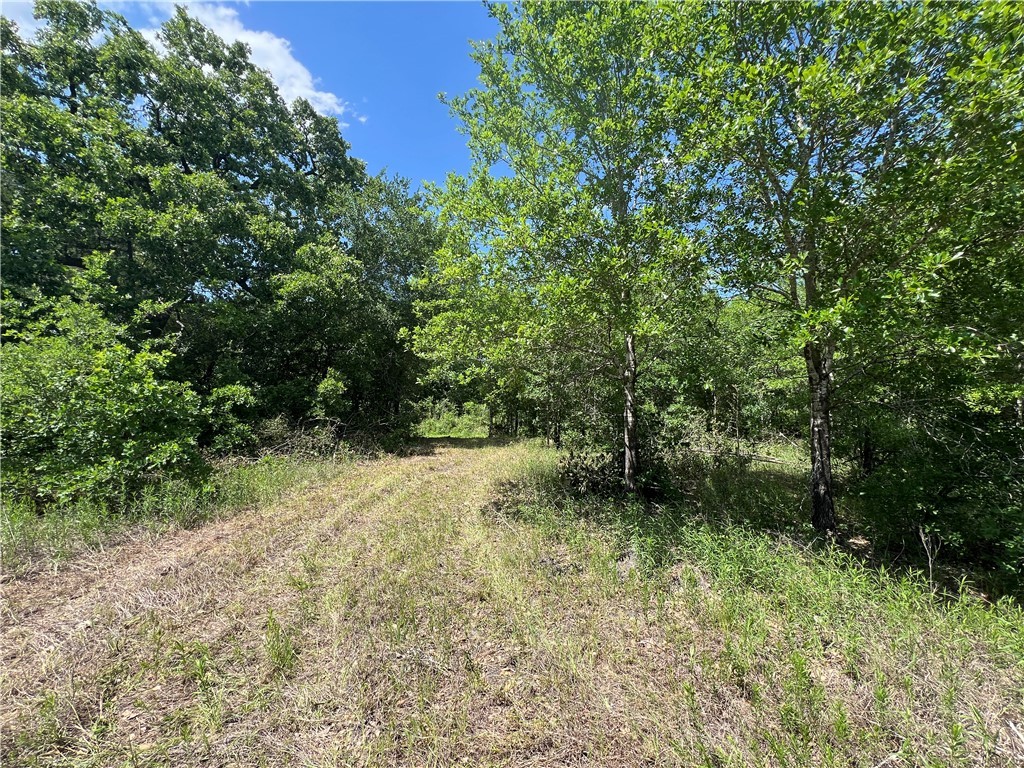 Lot #1 CR 218 , Anderson, TX, 77830 | 25003878 | Realty Texas LLC