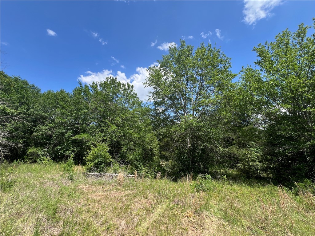 Lot #1 CR 218 , Anderson, TX, 77830 | 25003878 | Realty Texas LLC